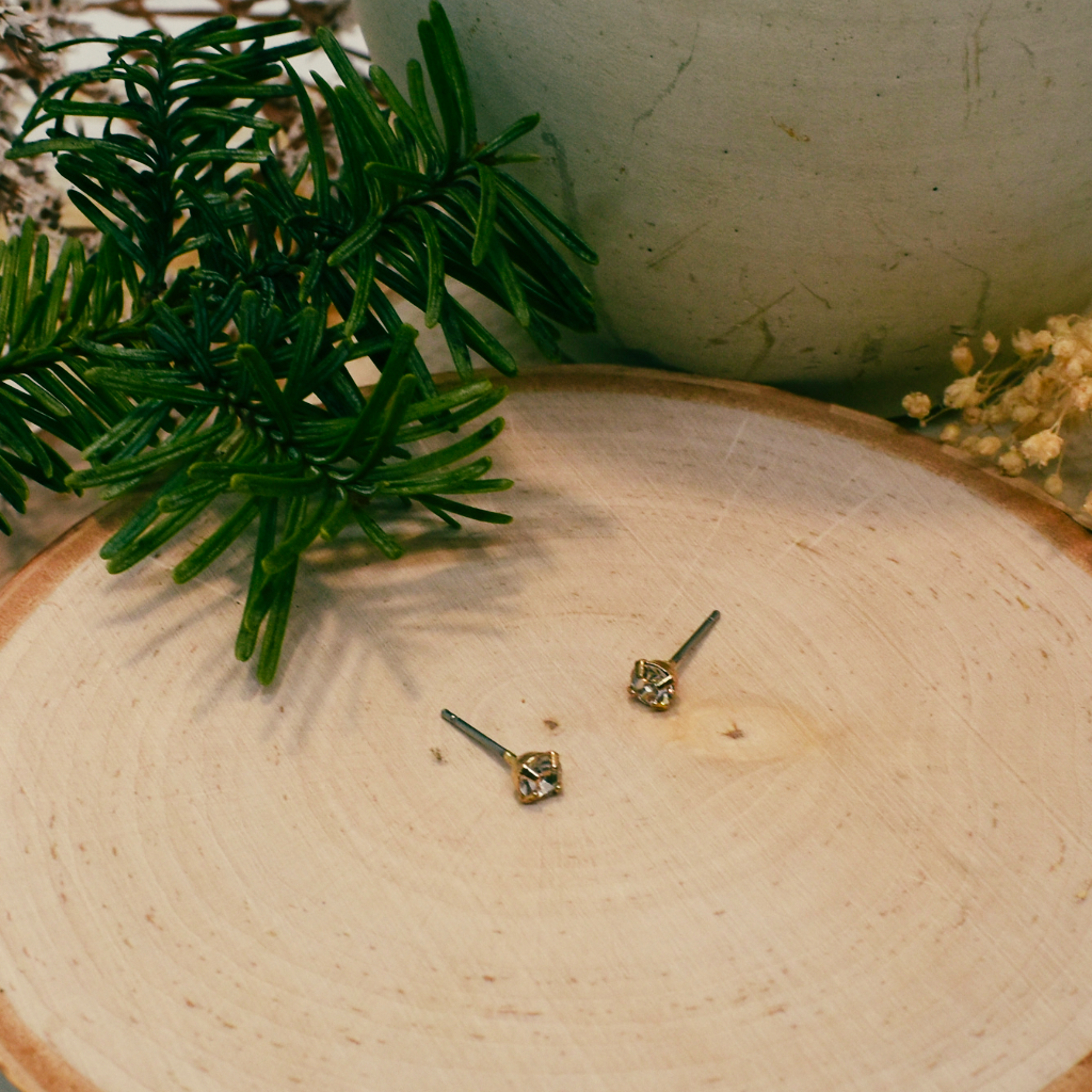 mini sparkle stud earrings